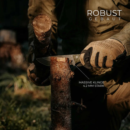 RAVIX + LITE SHEATH | BUNDLE Product vendor